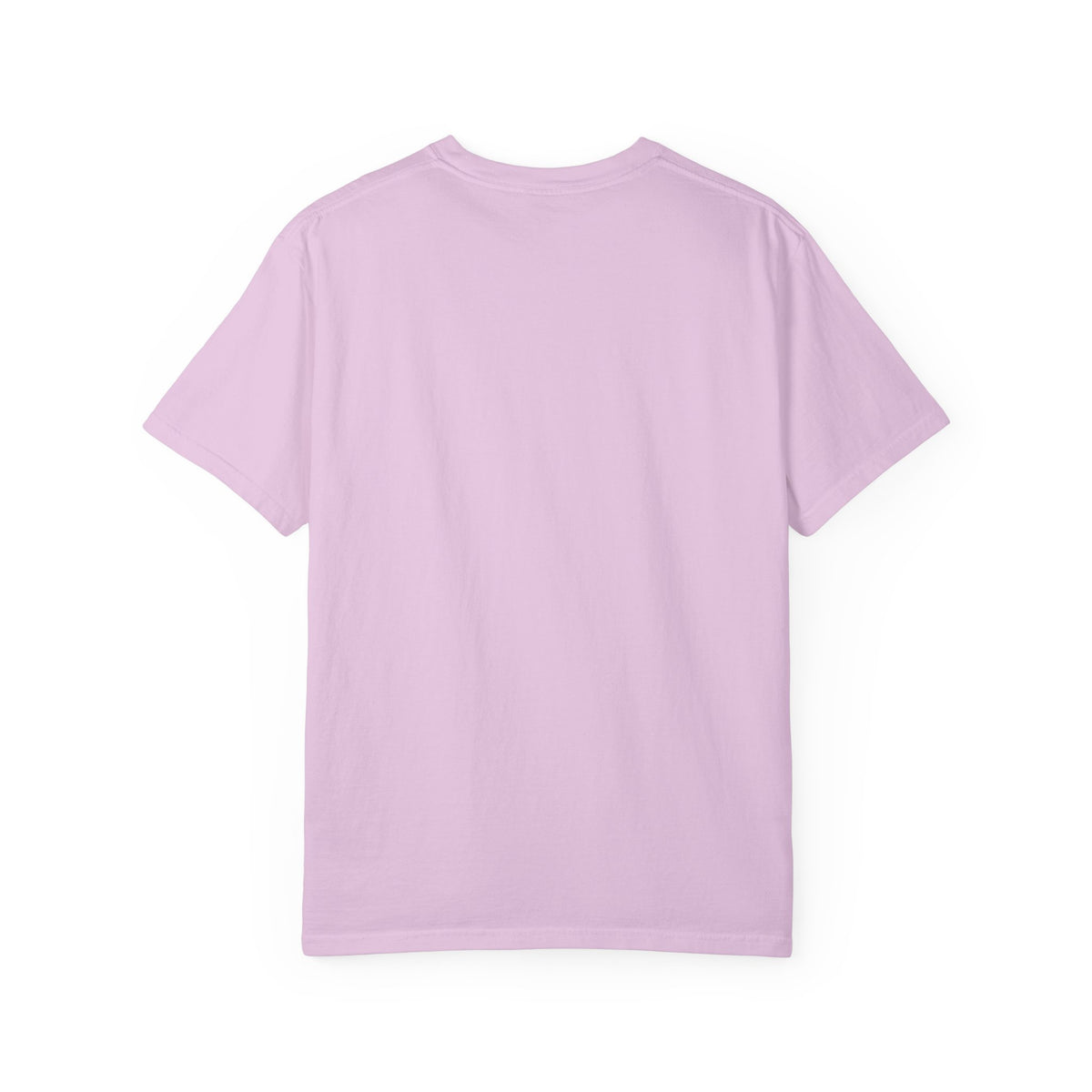 Silly Goose Unisex Garment-Dyed T-shirt