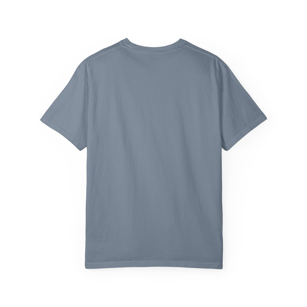 Ducks in a Row Unisex Garment-Dyed T-shirt