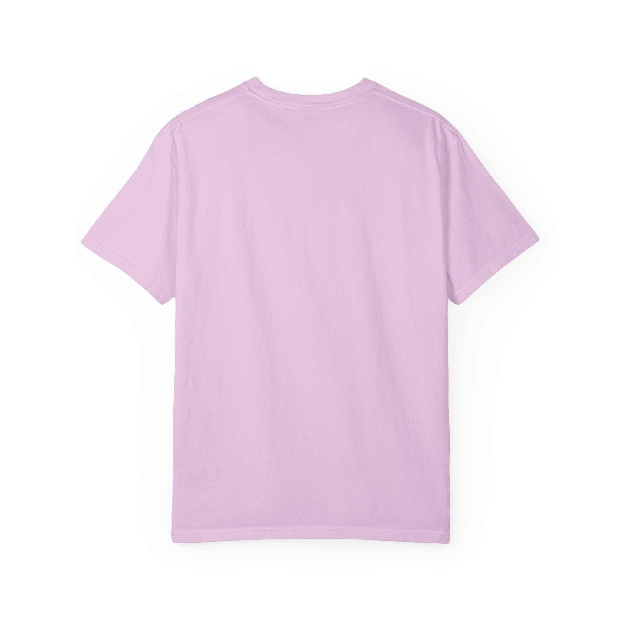Ducks in a Row Unisex Garment-Dyed T-shirt
